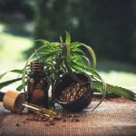 Galimas CBD produktų šalutinis poveikis